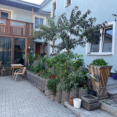 ラウフハンマーAntike Wohnmoeglichkeit Kurz Und Langfristig 100Qm Erdgeschossアパートメント エクステリア 写真
